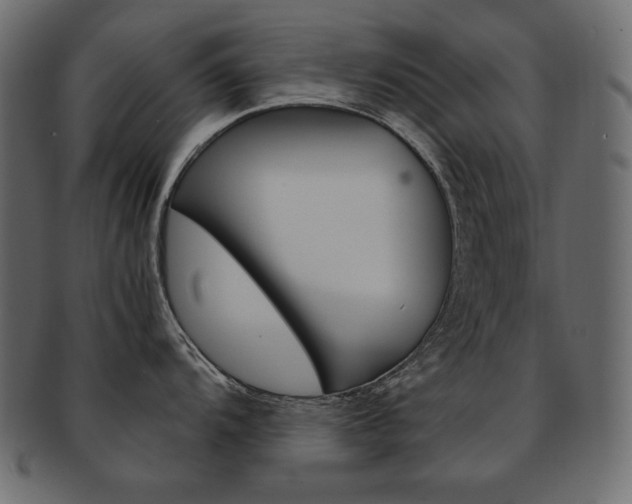 X0000093161104200709261031