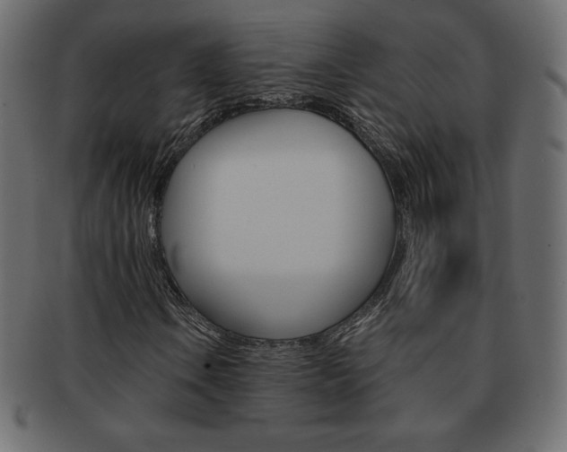 X0000093161106200709261030
