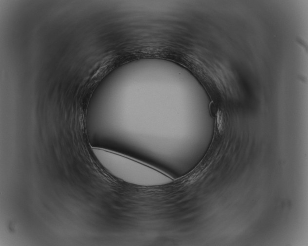X0000093161107200709261030