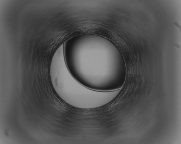X0000093161108200709261030