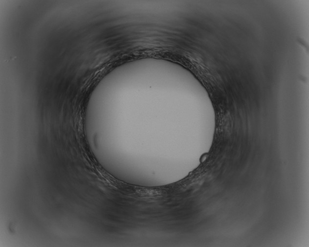 X0000093161109200709261030