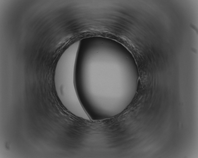 X0000093161110200709261030