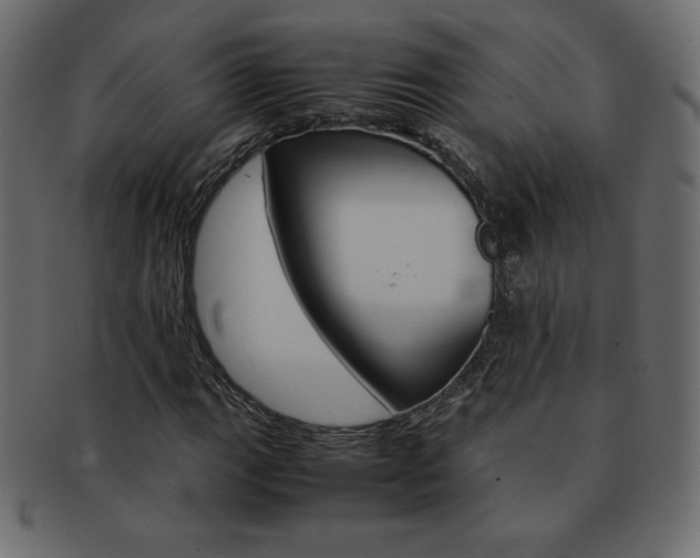 X0000093161111200709261030