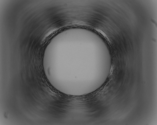 X0000093161112200709261030