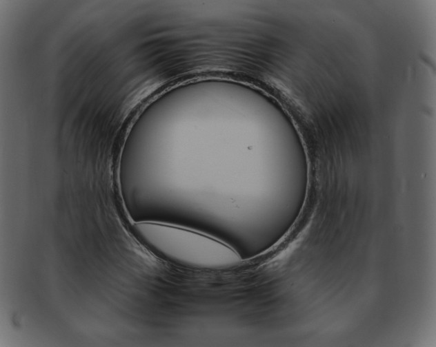 X0000093161113200709261030