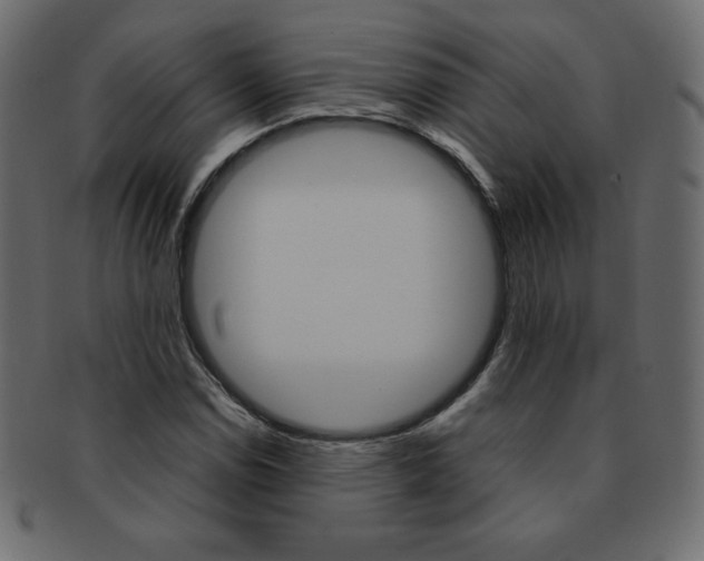 X0000093161114200709261030