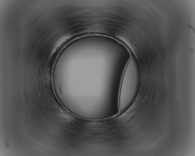 X0000093161115200709261030