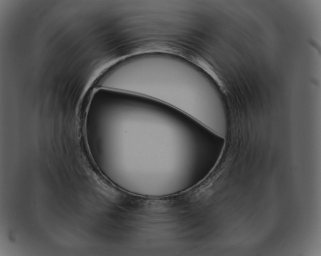 X0000093161116200709261030