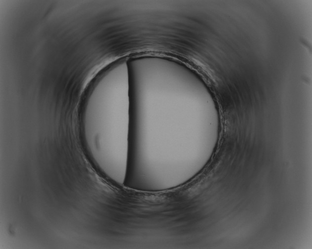 X0000093161117200709261030