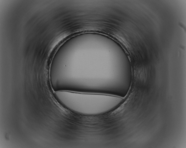 X0000093161119200709261030