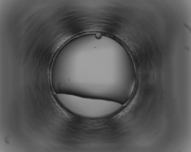 X0000093161121200709261030