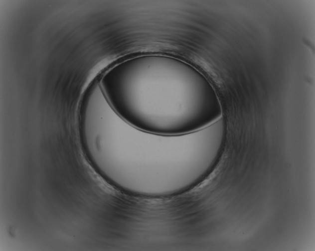 X0000093161122200709261030