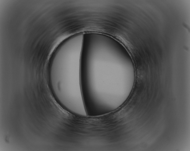 X0000093161123200709261030