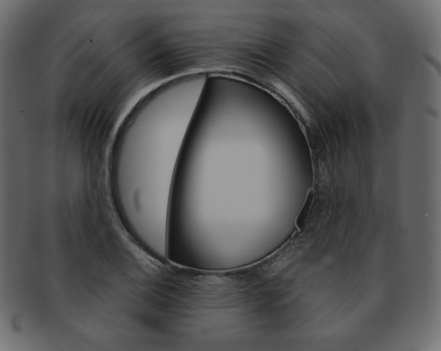 X0000093161124200709261030