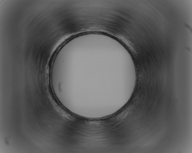 X0000093161126200709261030