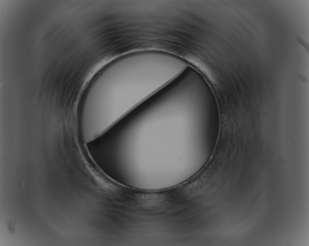 X0000093161127200709261030