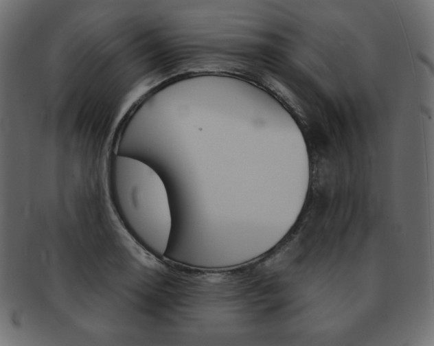 X0000093161130200709261030