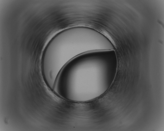 X0000093161132200709261030