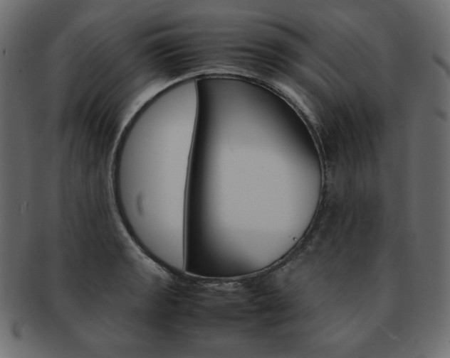 X0000093161133200709261030