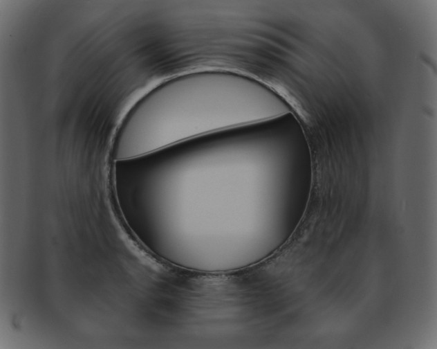 X0000093161134200709261030