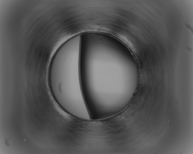 X0000093161136200709261030