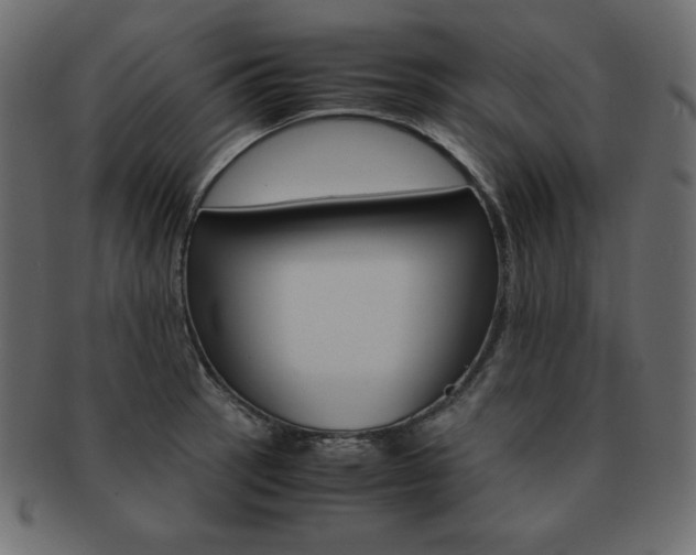 X0000093161137200709261030