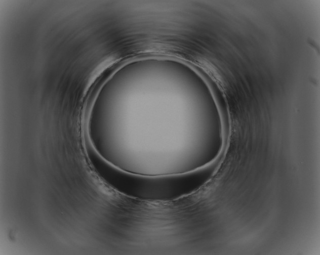 X0000093161138200709261030