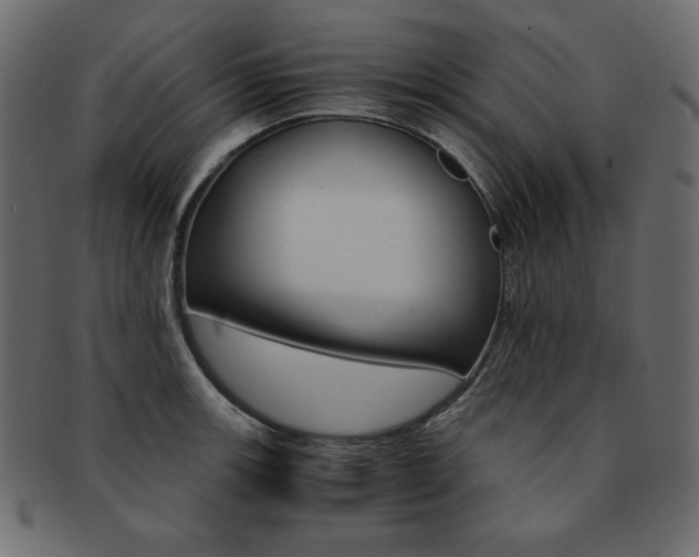 X0000093161139200709261030