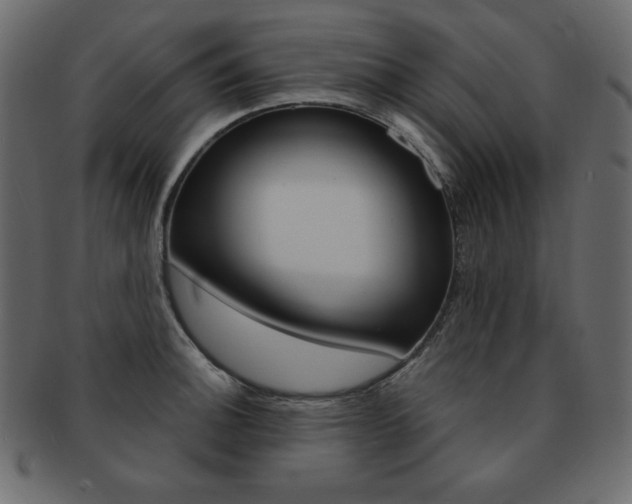 X0000093161140200709261030