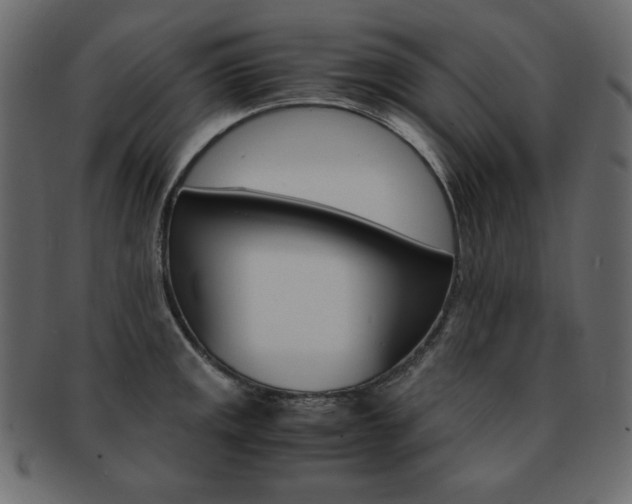 X0000093161141200709261030