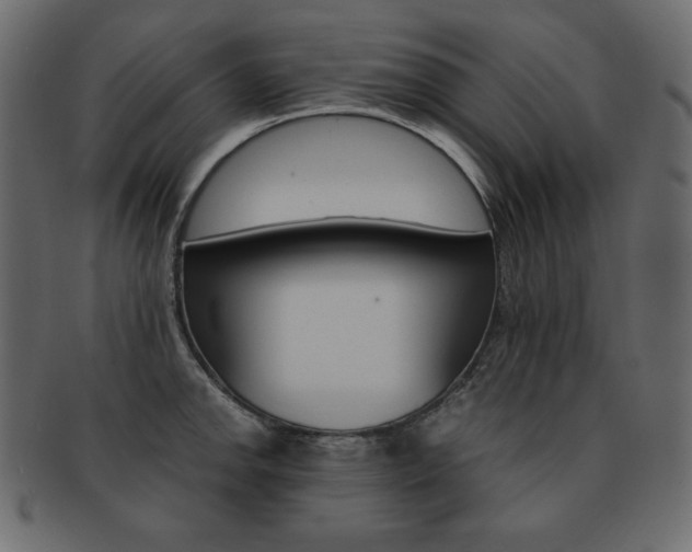 X0000093161142200709261030