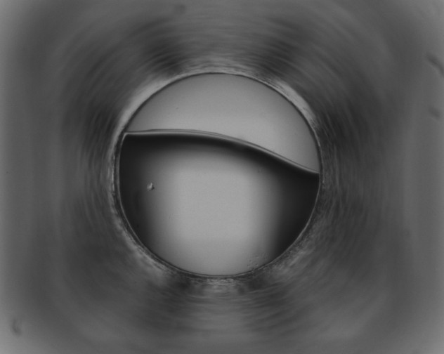 X0000093161144200709261031