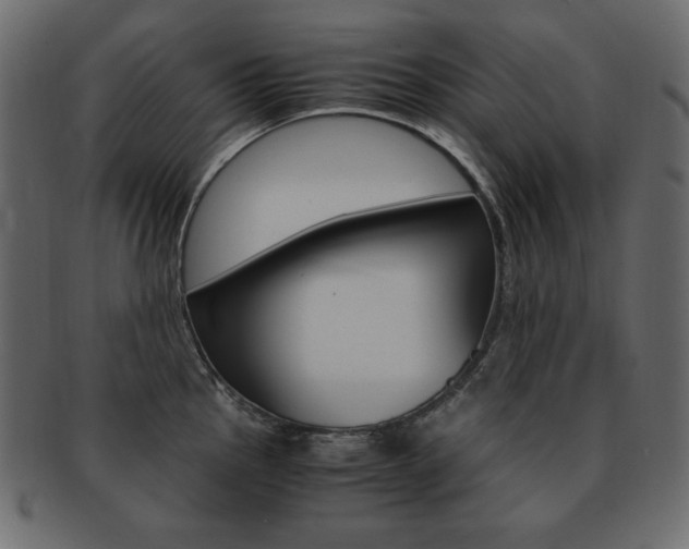 X0000093161145200709261031