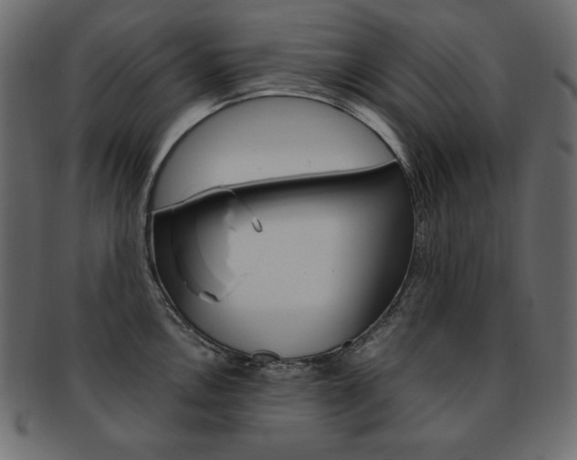 X0000093161146200709261031