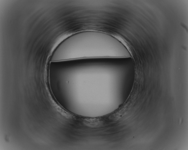 X0000093161147200709261031