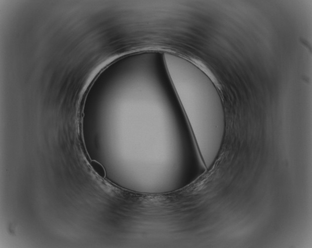 X0000093161148200709261031