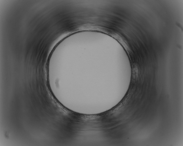 X0000093161150200709261031
