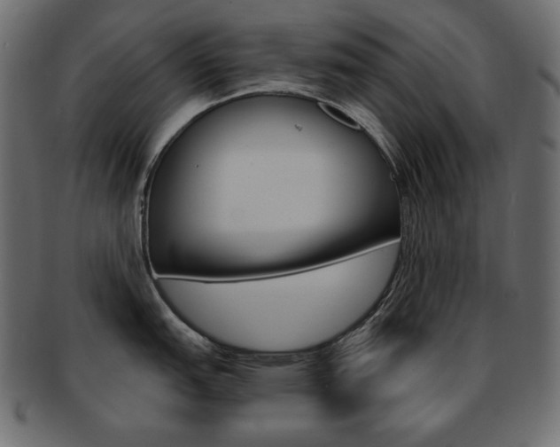 X0000093161151200709261031
