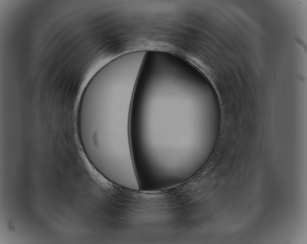 X0000093161152200709261031