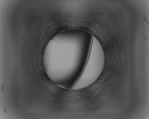 X0000093161153200709261030
