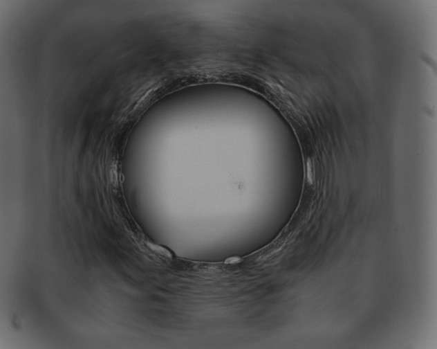 X0000093161155200709261030