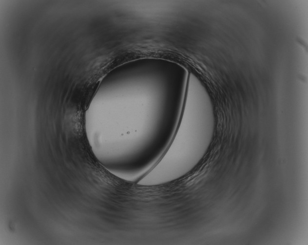 X0000093161156200709261030