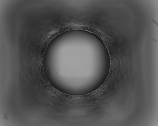 X0000093161157200709261030