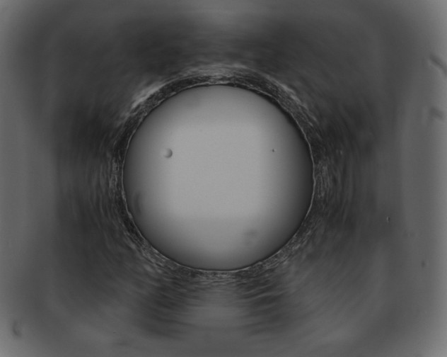 X0000093161158200709261030