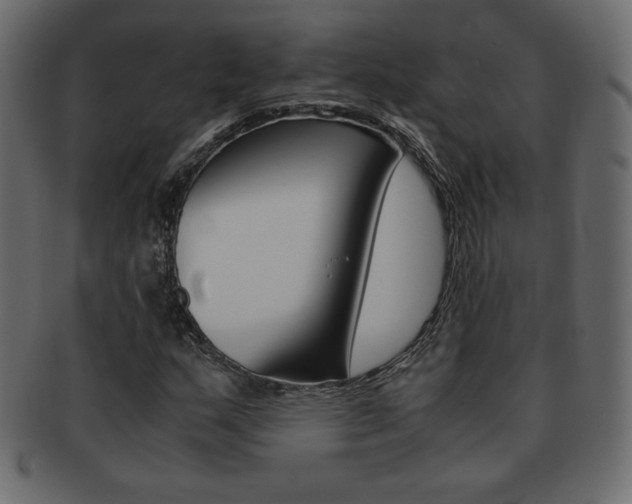 X0000093161159200709261030