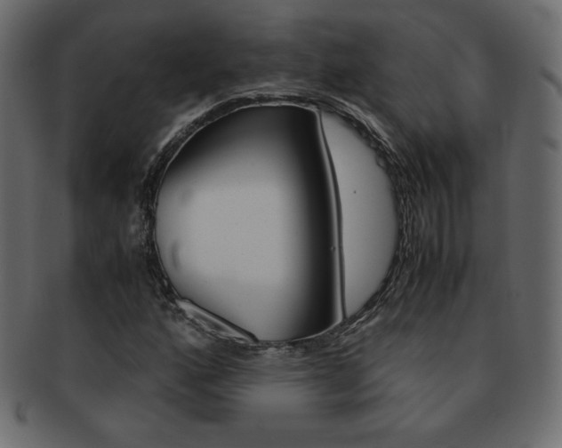 X0000093161160200709261030
