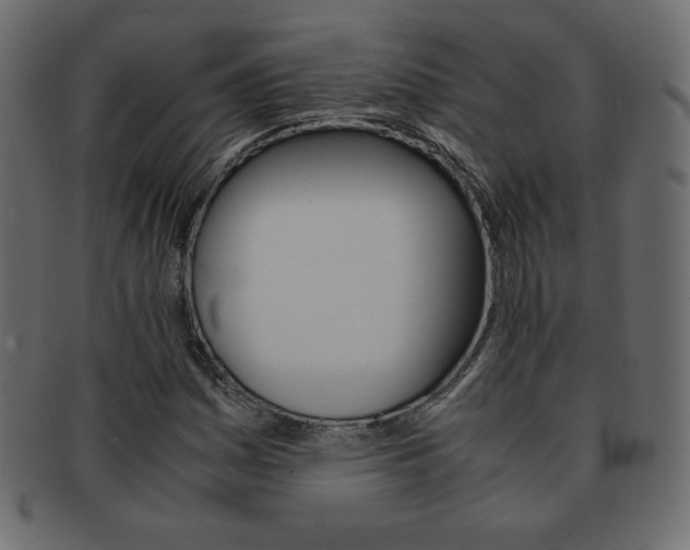 X0000093161161200709261030