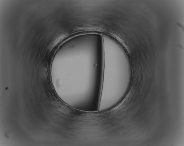 X0000093161163200709261030