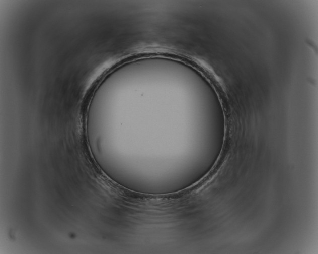 X0000093161167200709261030