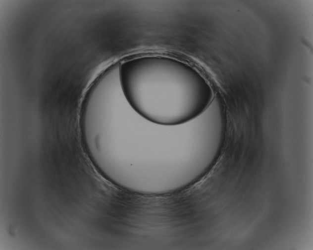 X0000093161168200709261030